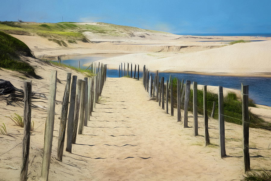 Trail in the Sand Dunes Watercolor Painting Photograph by Debra and Dave Vanderlaan