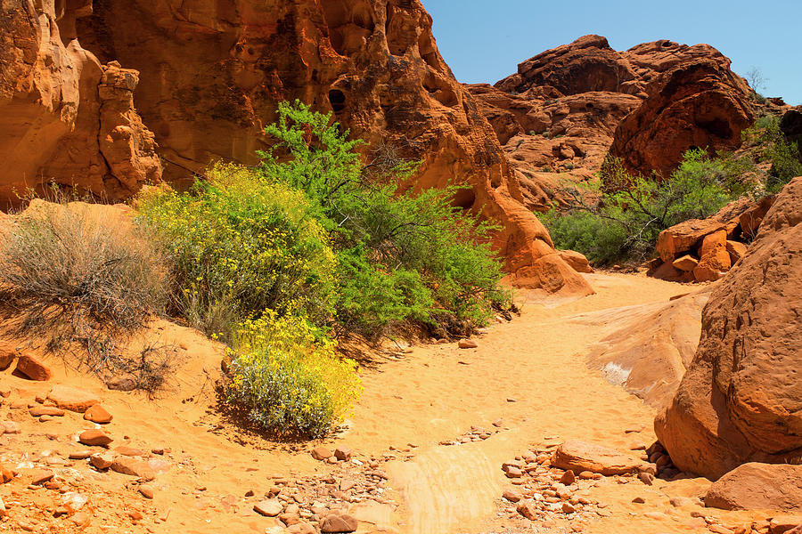 Trail In The Valley of Fire Photograph by Frank Wilson