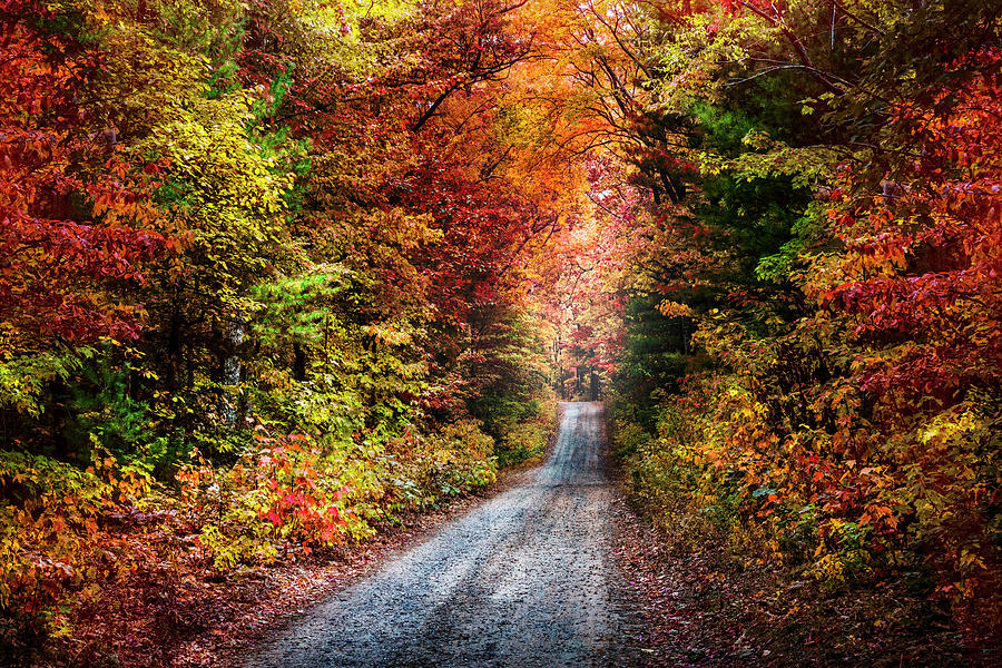 Trail into Autumn Colors Photograph by Debra and Dave Vanderlaan
