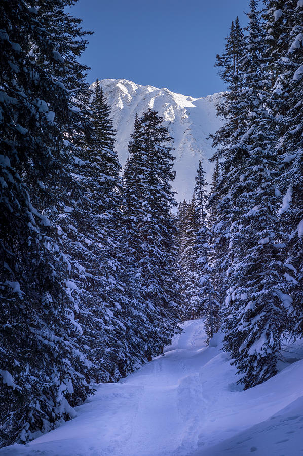 Trail Into Mayflower Gulch Photograph By Michael J Bauer Photography 