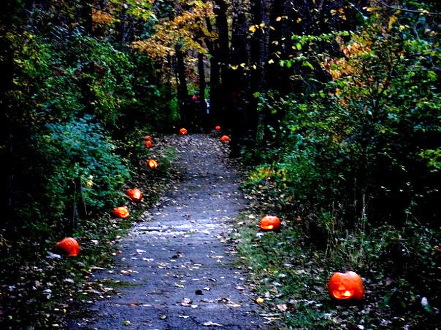 Trail of 100 Jack-o-lanterns Photograph by Steve Karol