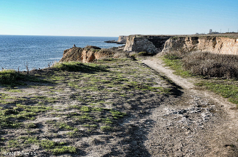 Trail On The Cliffs Photograph
