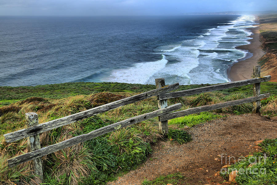 Point Reyes National Seashore Photograph - Trail Overlooking South Beach by Adam Jewell