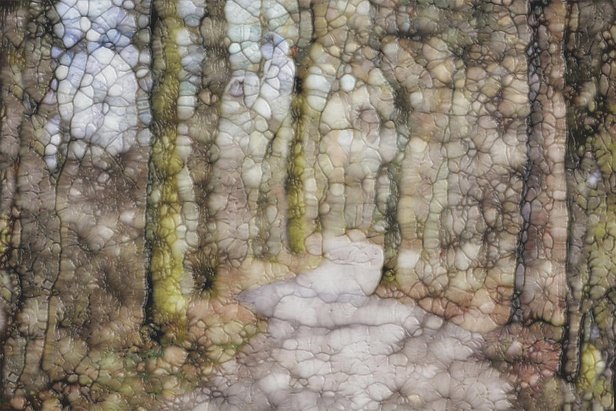 Trail Painting - Trail Series by Jack Zulli Trail Painting - Trail Series by Jack Zulli