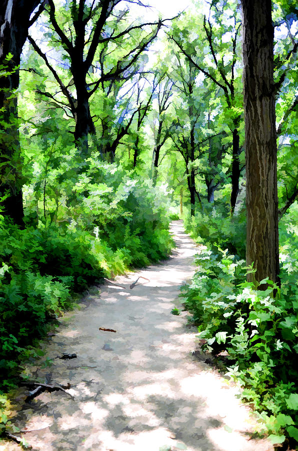 green forest path painting