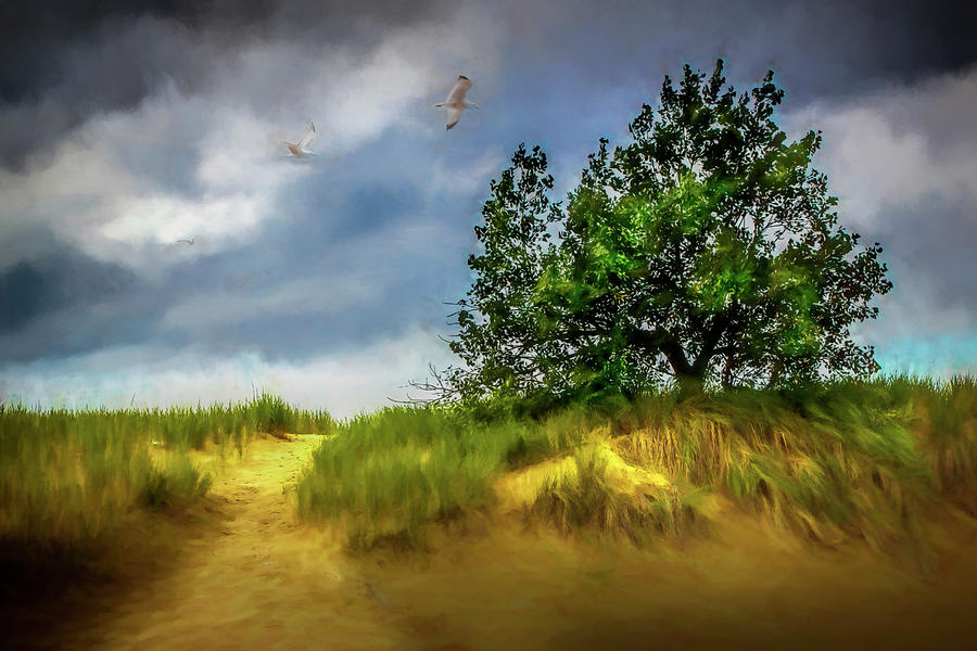 Trail through the dunes painterly version Photograph by Randall Nyhof