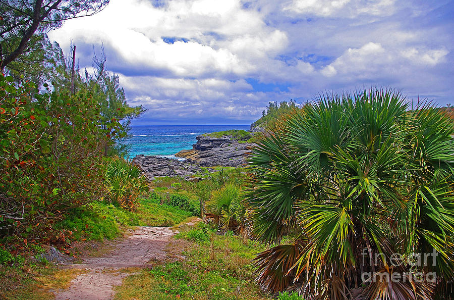 Beach Photograph - Trail To A Bermuda Beach by Rich Walter