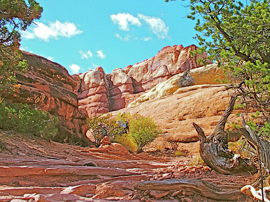 Trail to Chesler Park Viewpoint in Needles District in Canyonlands National Park, Utah Photograph by Ruth Hager
