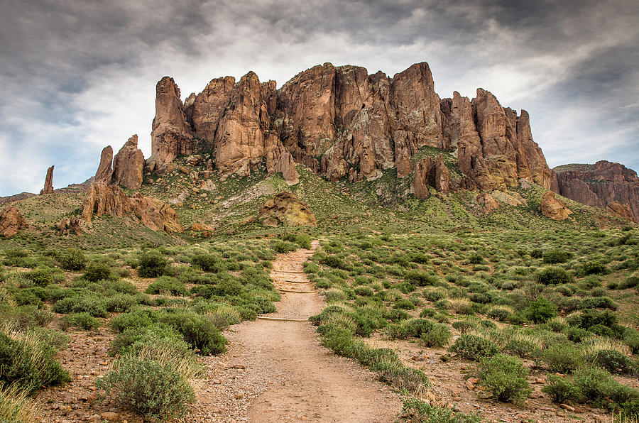 Trail to Cliffs Photograph by Greg Nyquist