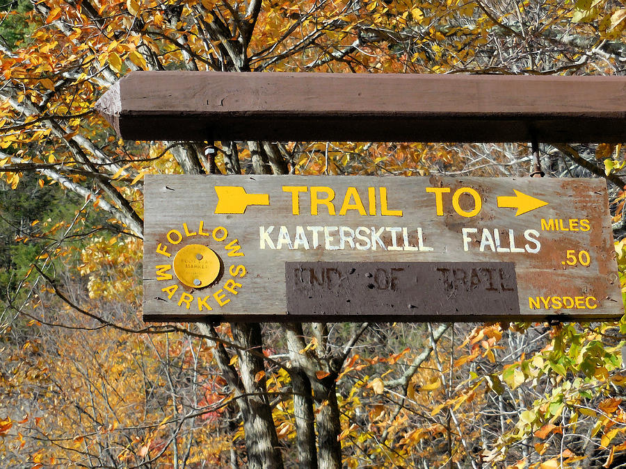 Trail to kaaterskill falls 1 Painting by Jeelan Clark
