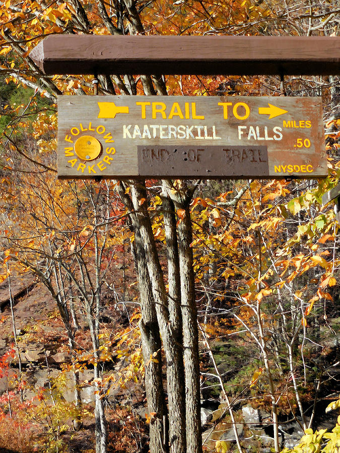 Trail to kaaterskill falls 2 Painting by Jeelan Clark
