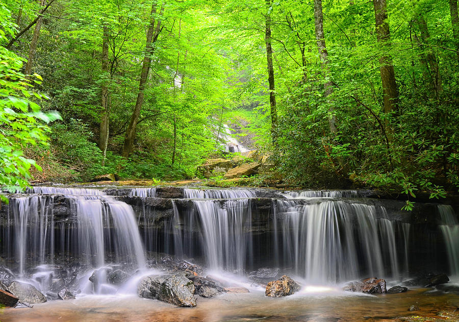 Trail to Pearsons Falls Photograph by Blaine Owens