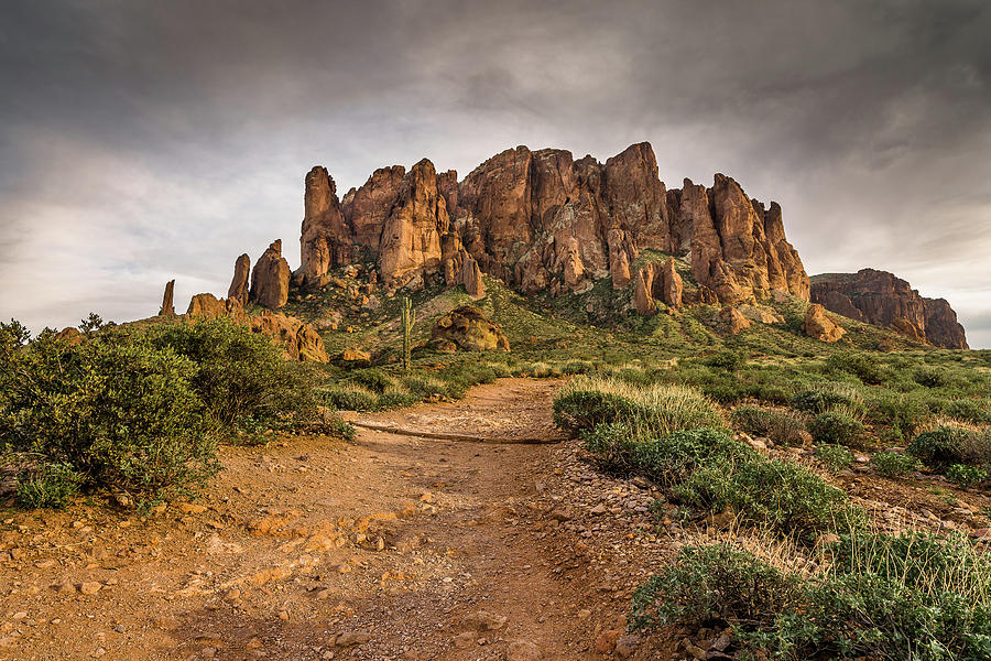 Trail to Superstitions 2 Photograph by Greg Nyquist