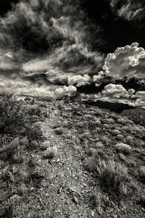 Trail to the Clouds Photograph by Michael McKenney