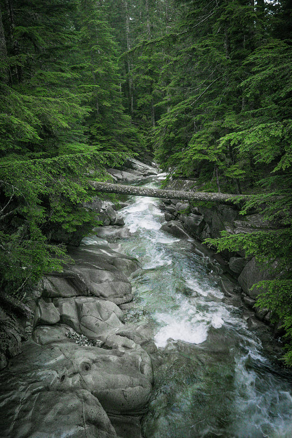Trail to the Falls by Crystal Hoeveler Trail to the Falls by Crystal Hoeveler