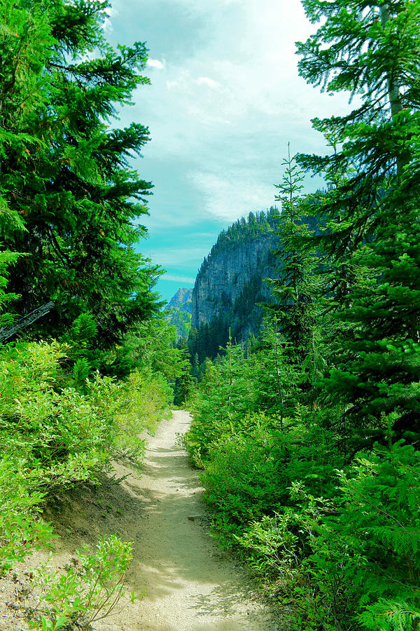 Mount Rainier National Park Photograph - Trail to the mountains by Jeff Swan