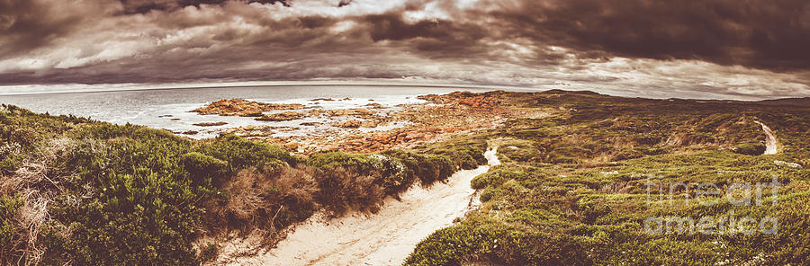 Trail to Western Tasmania Photograph by Jorgo Photography