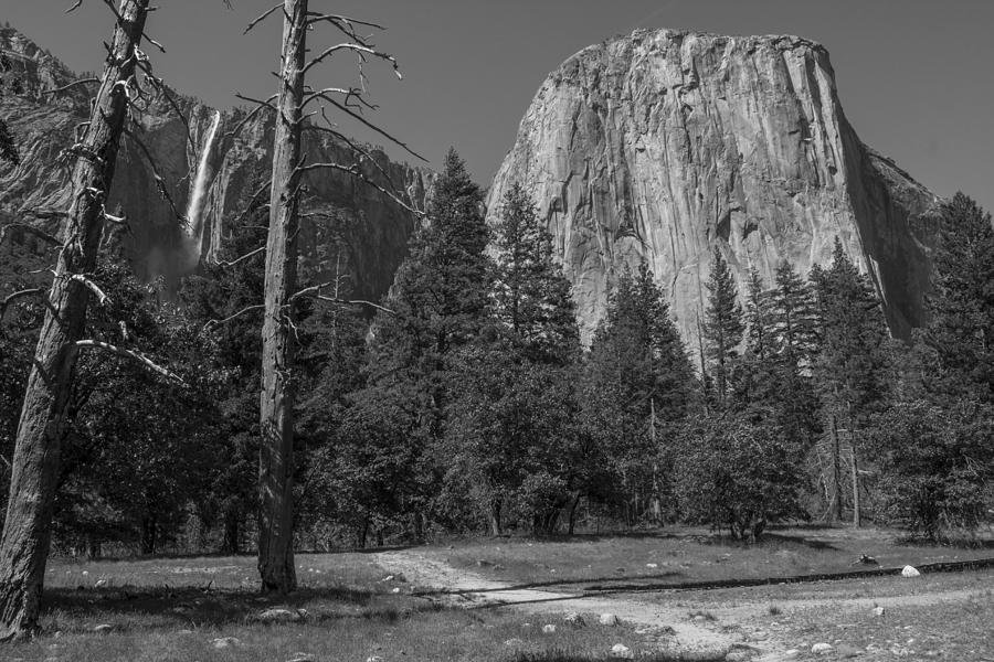 Trail to Yosemite Falls Black and White  Photograph by John McGraw