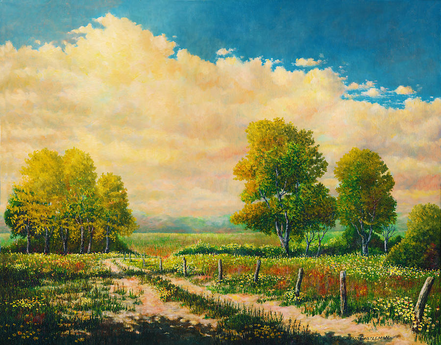 Trail Under Midwestern Skies Painting by Douglas Castleman