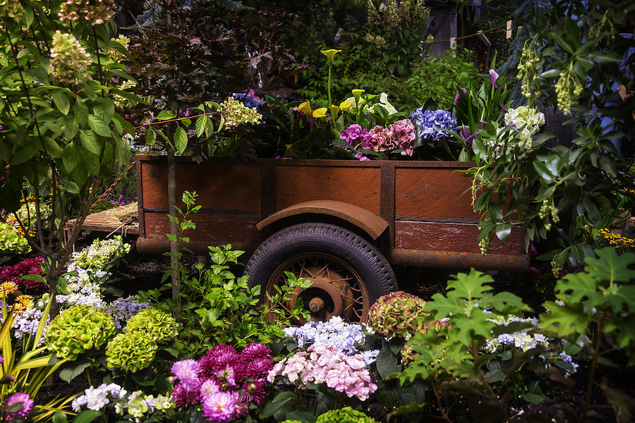 Trailer Full Of Flowers Photograph by Garry Gay