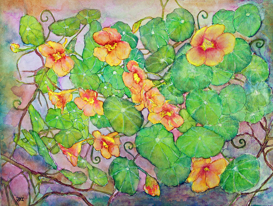 Trailing Nasturtium Vine Painting by Janet Immordino