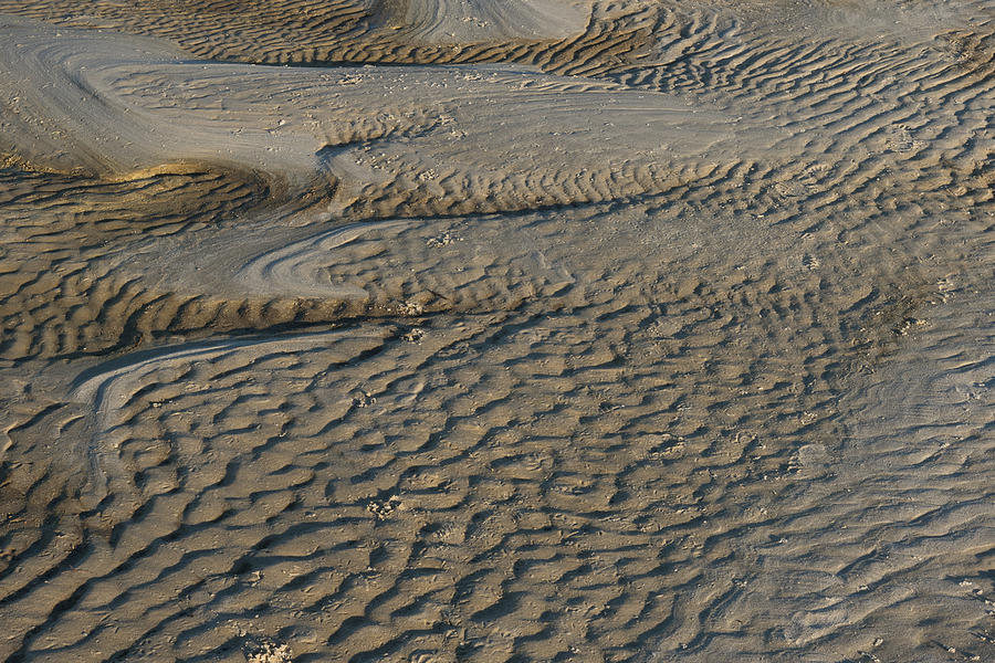 Trails in The Sand #101 Photograph by Larry Palmer - Fine Art America