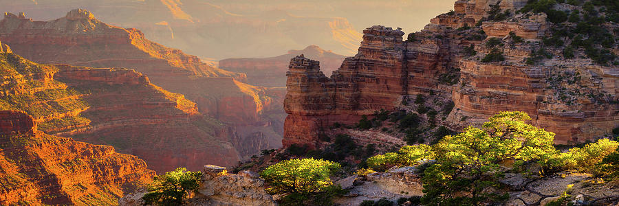 Grand Canyon National Park Photograph - Trailside by Mikes Nature