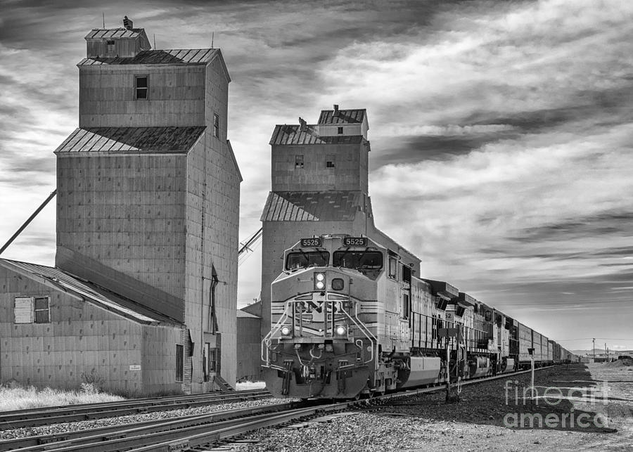 Train and Grain Elevator bw Photograph by Jerry Fornarotto