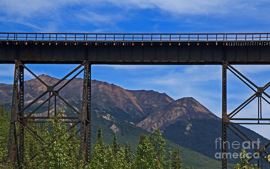 Train Bridge Photograph by Robert Pilkington