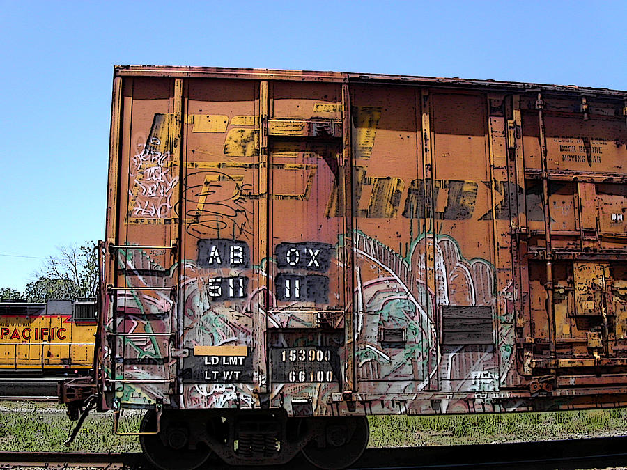 Train Car Graffiti 1 Photograph by Anne Cameron Cutri