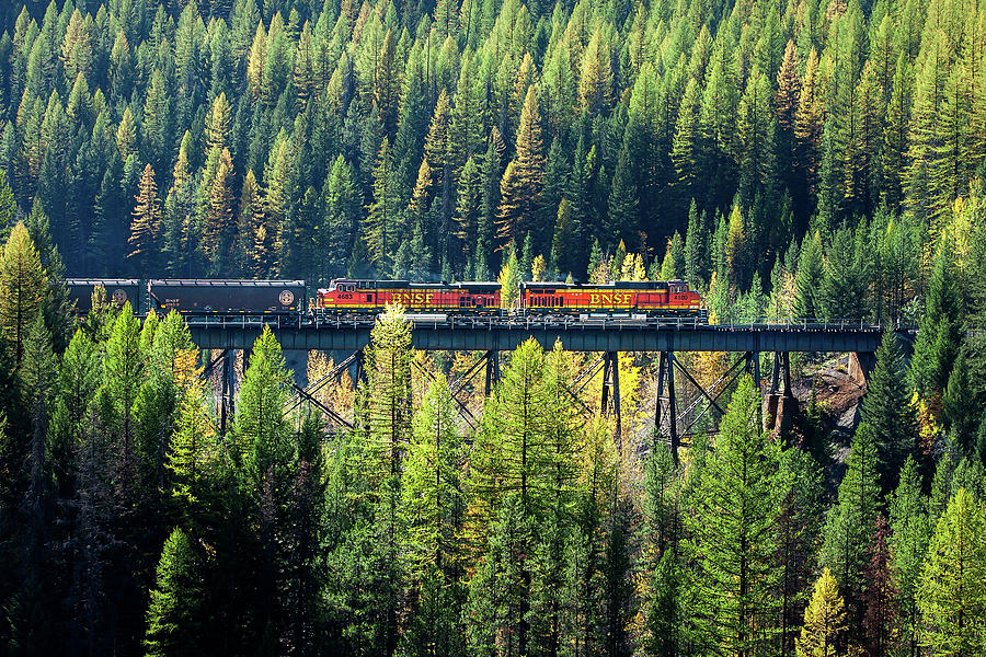 Train Coming Through Photograph by Todd Klassy