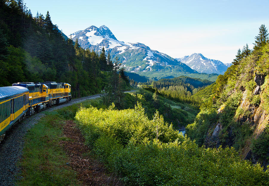 Train from the North Photograph by Adam Pender