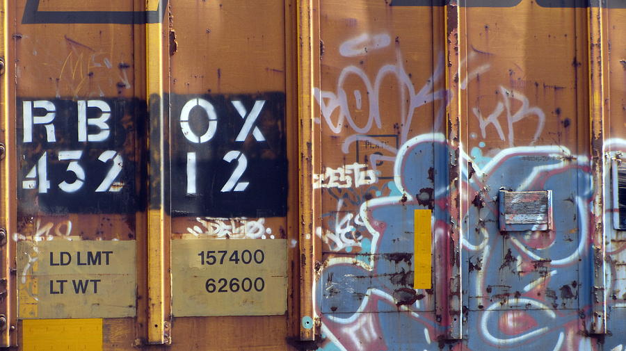 Train Graffiti 1 Photograph by Anita Burgermeister