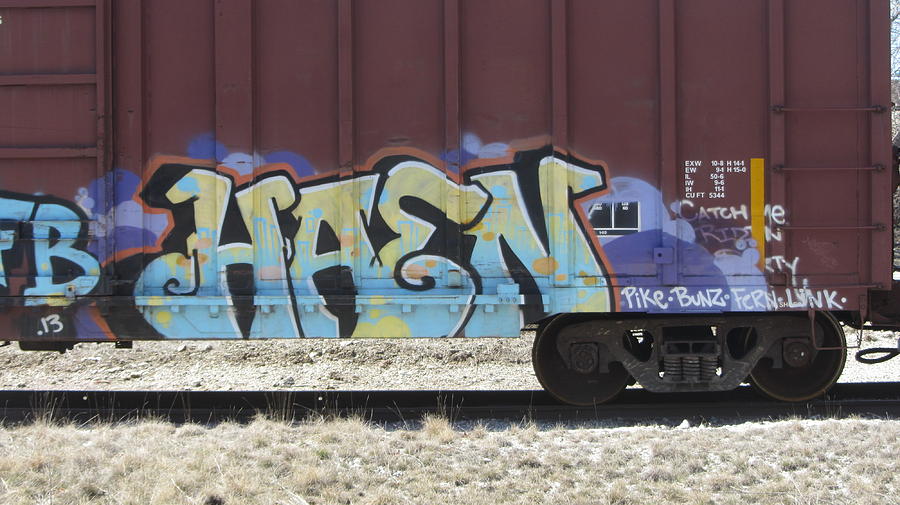 Train Graffiti 3 Photograph by Anita Burgermeister