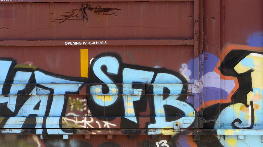Train Graffiti 4 Photograph by Anita Burgermeister