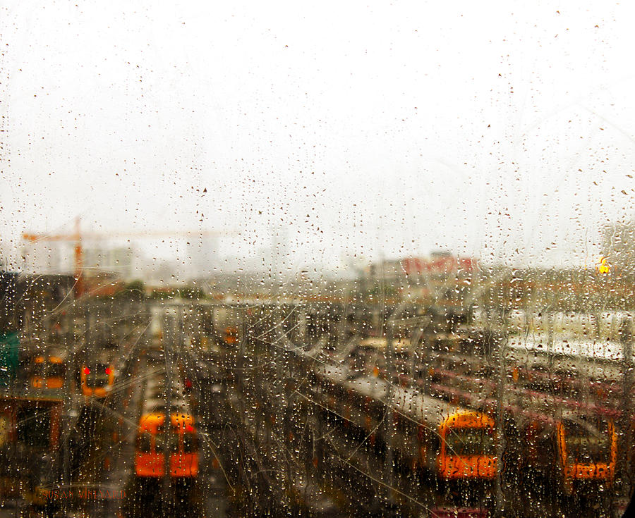 Train in the Rain Photograph by Susan Vineyard