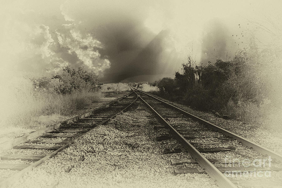 Train Merge Photograph