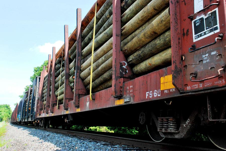 Train Photograph - Train of Logs Perspective View by Matt Quest