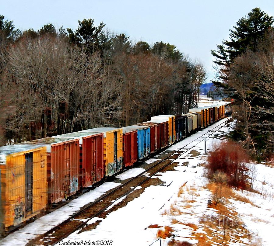 Car Photograph - Train of many Colors by Catherine Melvin