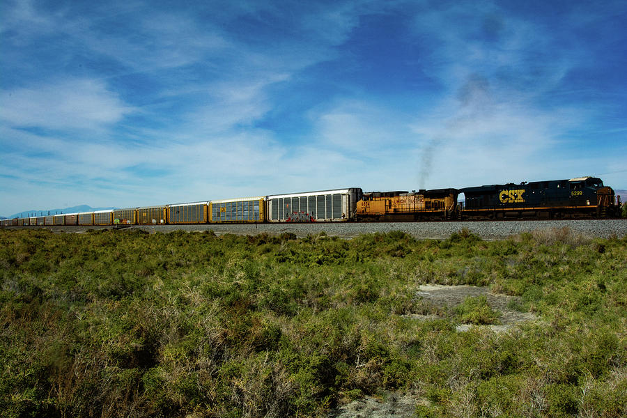 Train Salton Sea CA Photograph by William Kimble