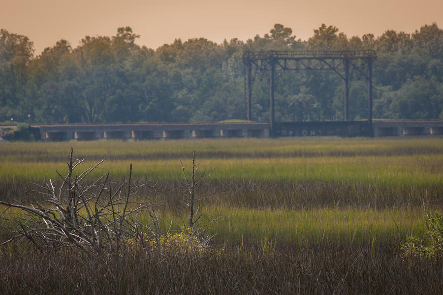 Train Trestle Over The Marsh Photograph