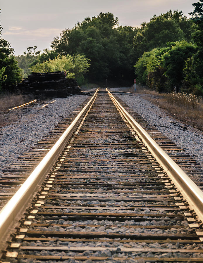 Train track  Photograph by Andrea Anderegg