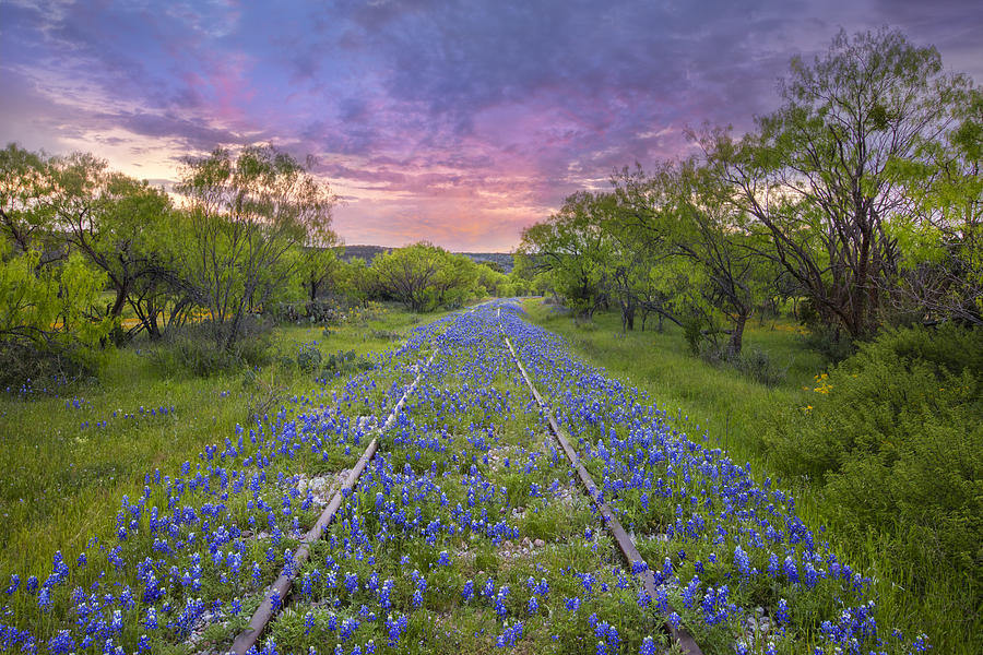 Train Tracks and Bluebonnets on a Texas Hill Country Morning Photograph by Rob Greebon