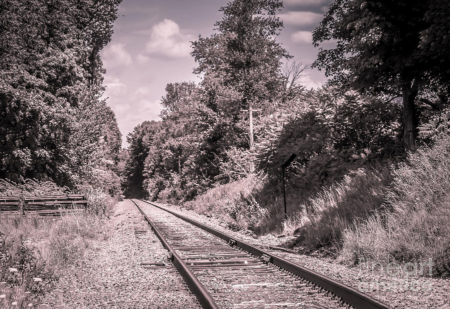 Train tracks Photograph by Claudia M Photography