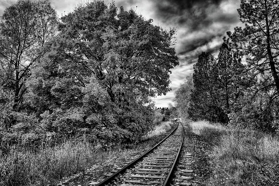 Black And White Photograph - Train Tracks by David Patterson