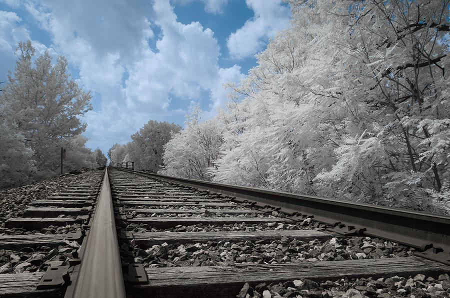 Train Tracks Photograph by Michael Demagall