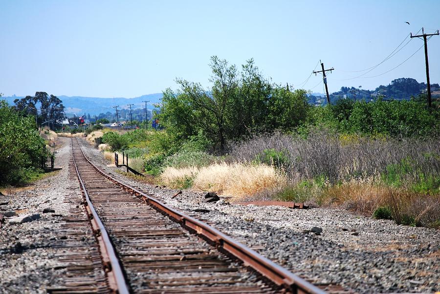 Train Photograph - Train Tracks Rural Landscape by Matt Quest