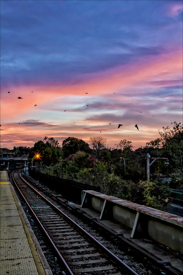 Train Tracks Sunset and Birds Photograph by Robert Ullmann