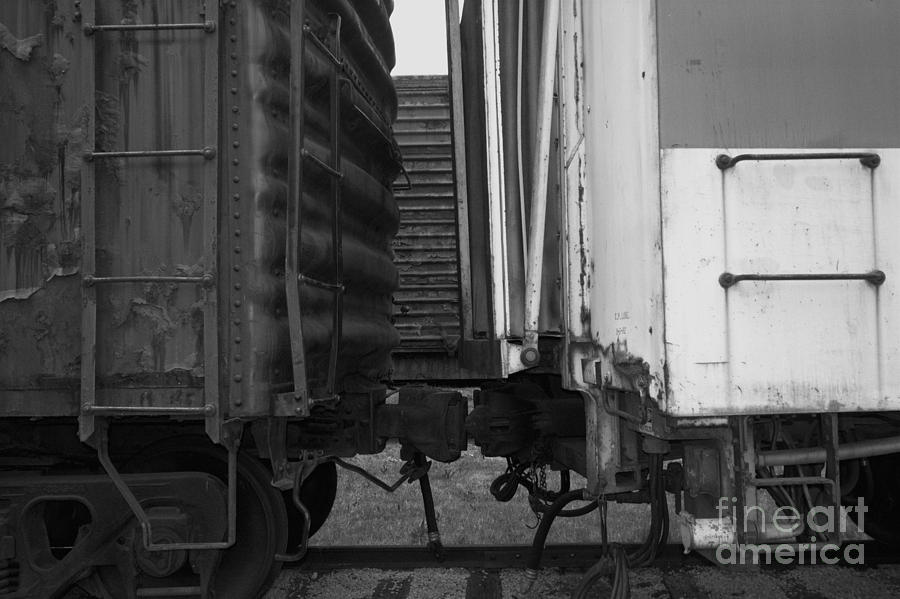Trains 10 Blkwht Photograph