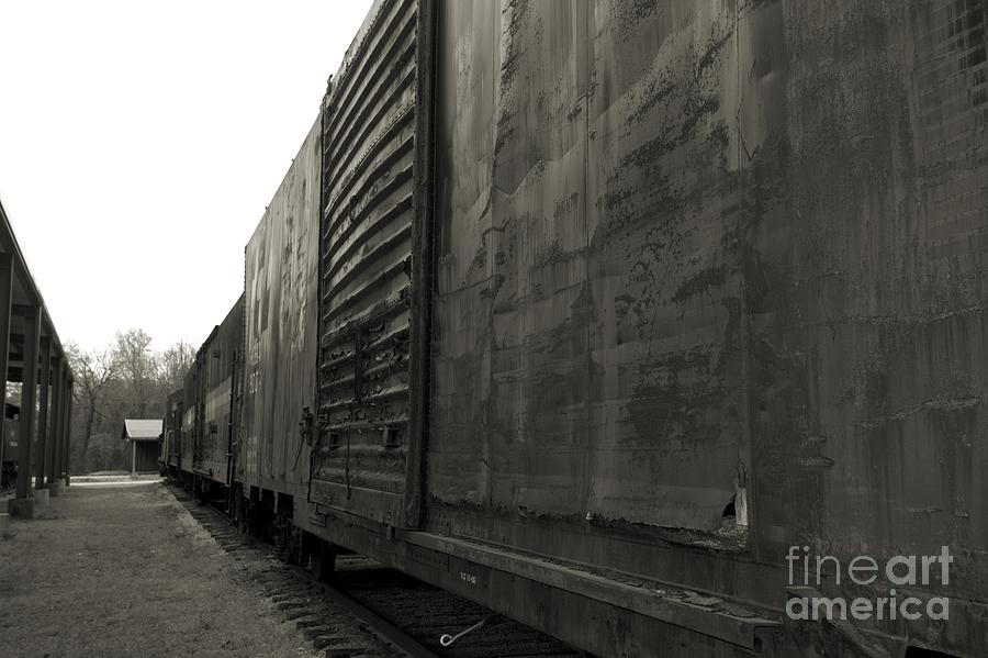 Train Photograph - Trains 12 Platinum by Jay Mann